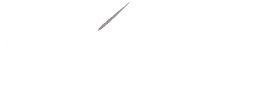 White Services Technology Ltd. logo